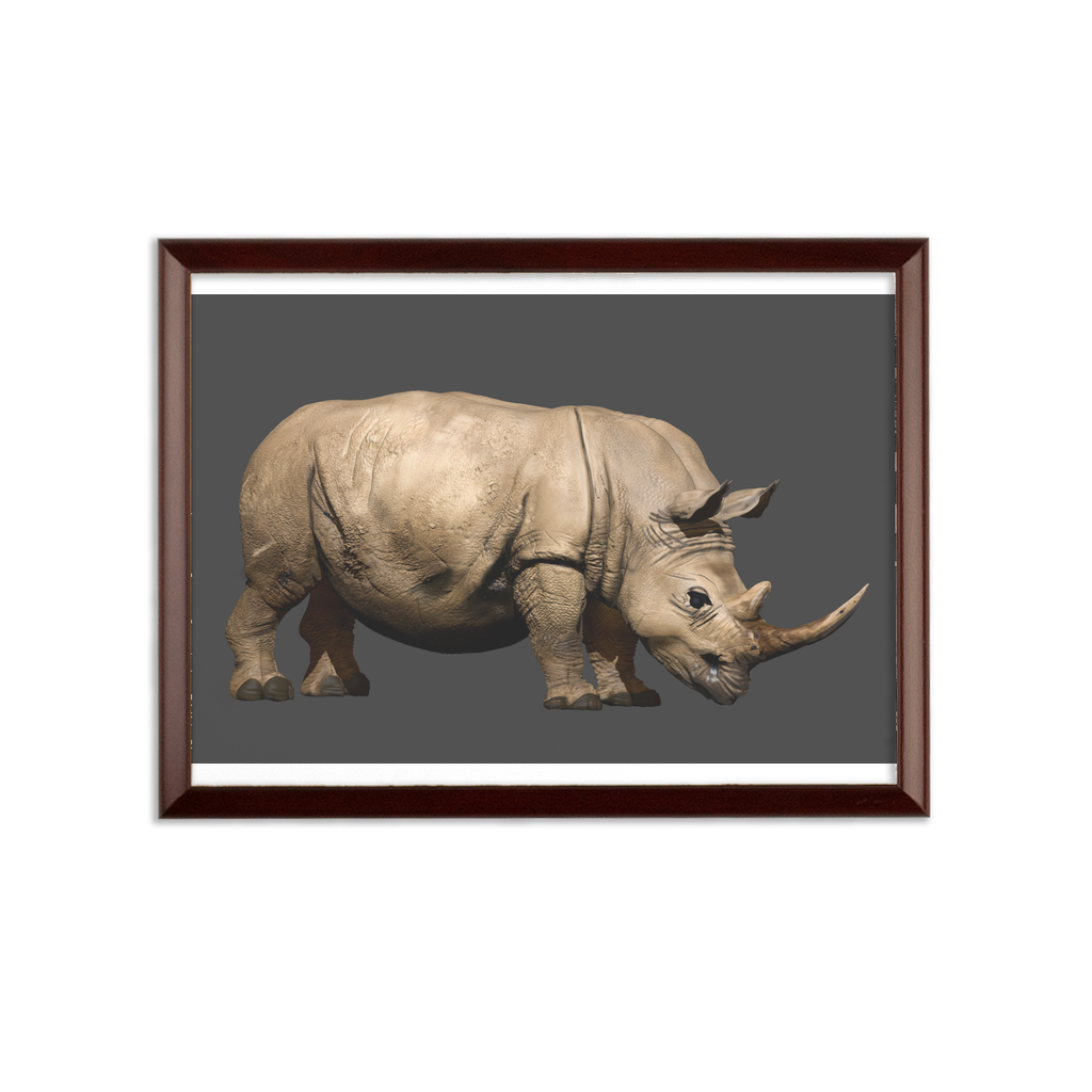 Rhino Character Sublimation Wall Plaque